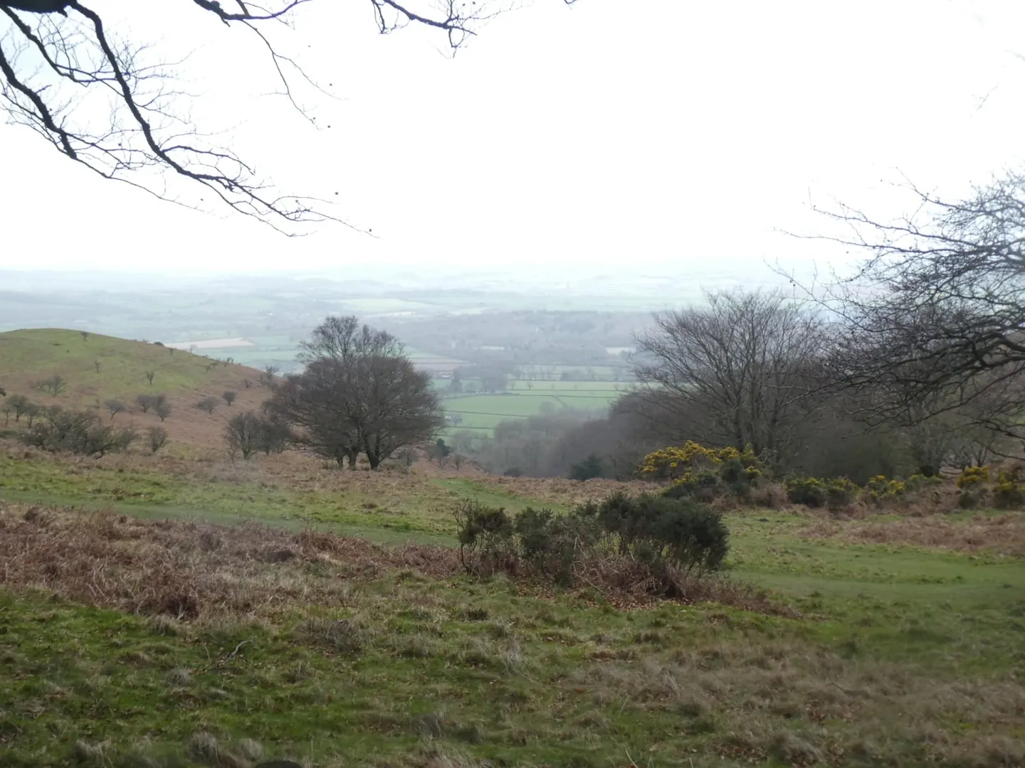 Photo of Triscombe Hills, a country estate near Crowcombe in the Quantock Hills, Somerset, south west England.