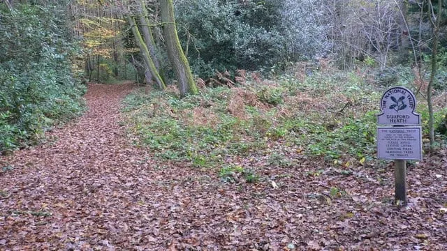 Photo of Durford Heath, a country estate near Buriton in the South Downs, West Sussex, south east England.
