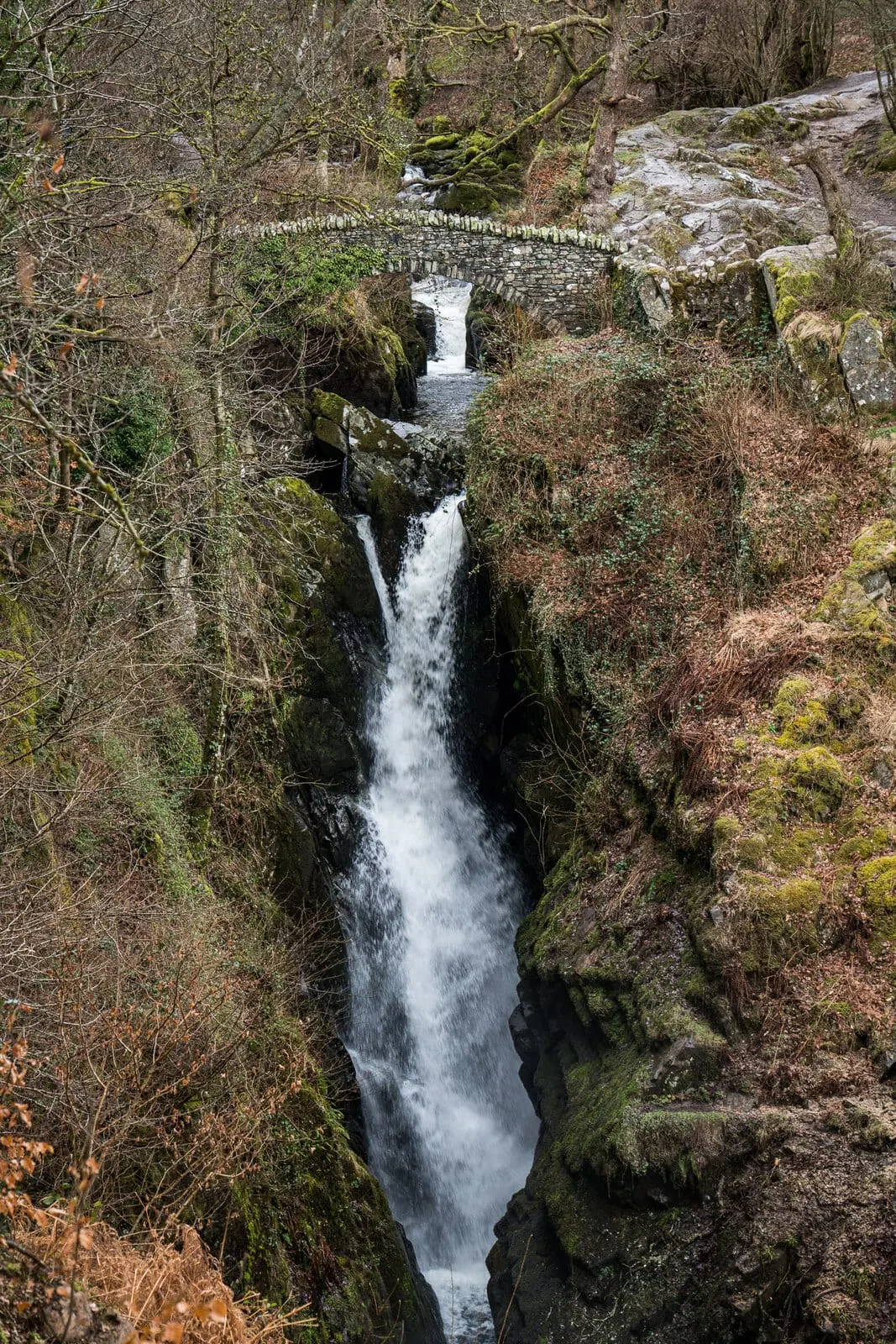 Photo of Aira Force, Cumbria — the fall beneath the upper bridge.