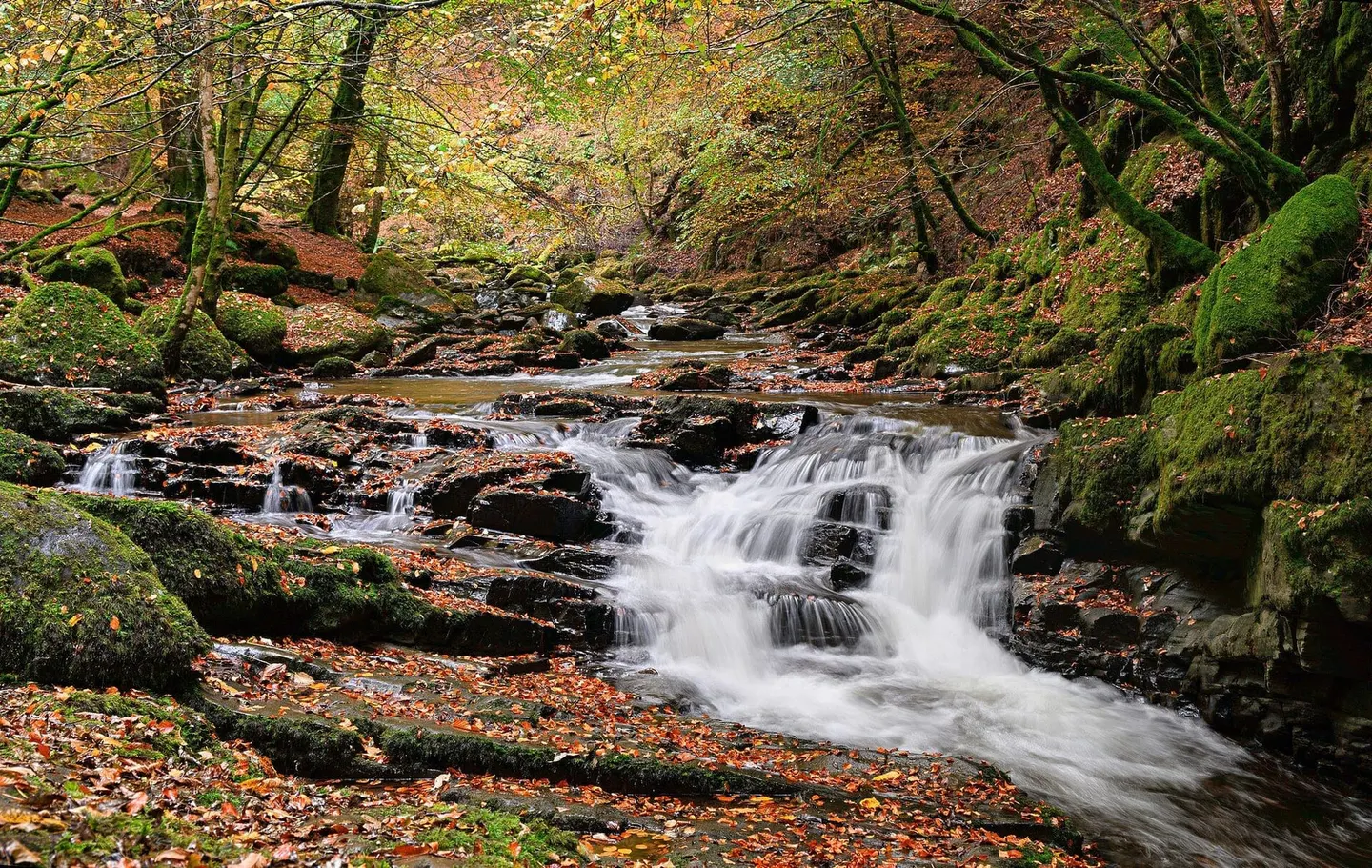 Photo of Birks of Aberfeldy, a waterfall in Perth and Kinross, central Scotland.