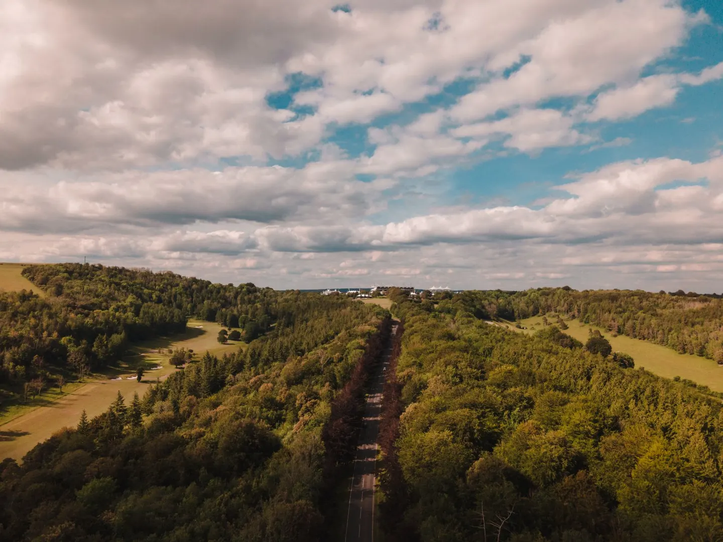 Photo of the High Weald, a National Landscape in south east England.