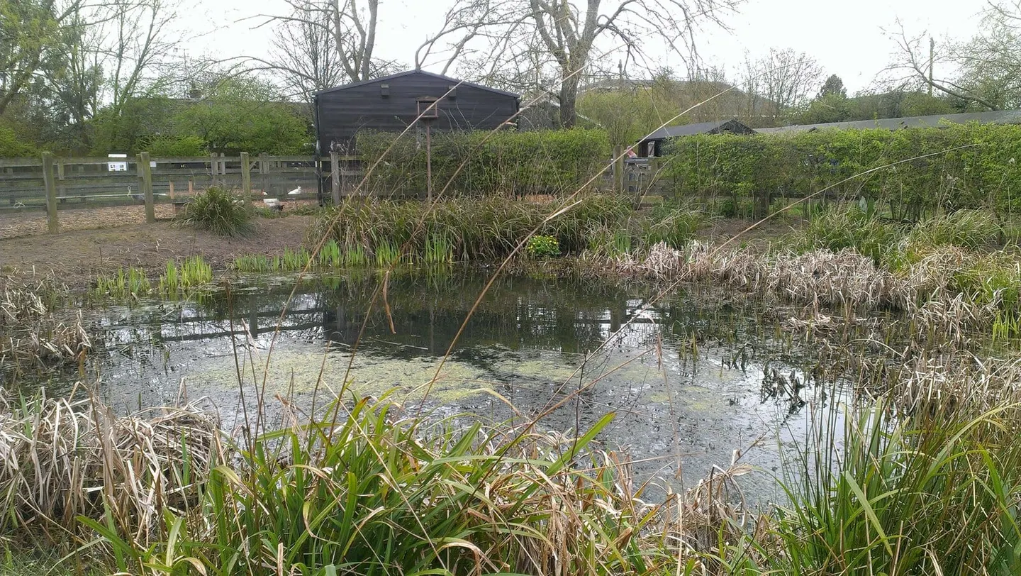 Photo of Aldenham Country Park, a country park near Watford, Hertfordshire, eastern England.
