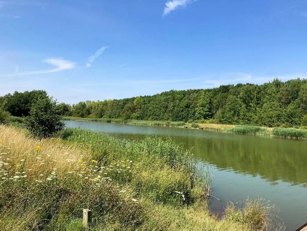 Photo of Cotgrave Country Park, a country park near Cropwell Bishop, Nottinghamshire, central England.