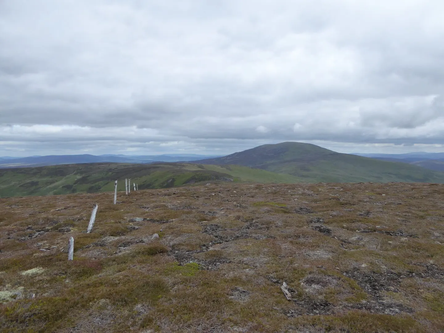 Photo: Mona Gowan, a 749m hill near Ballater in the Cairngorms, Aberdeenshire, north east Scotland.