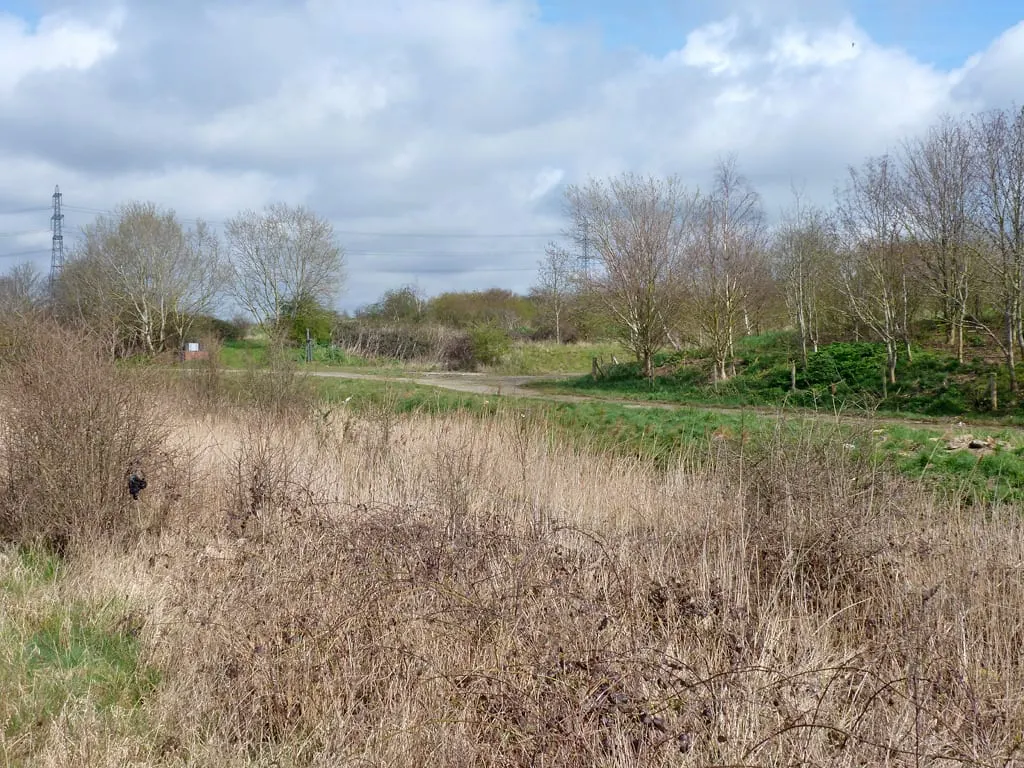 Photo of Church Marshes Country Park, a country park near Faversham, Kent, south east England.