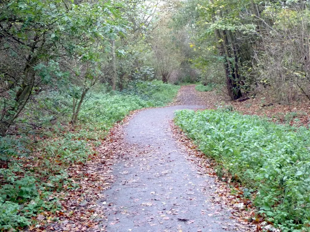 Photo of Westley Heights Country Park, a country park near Laindon, Essex, eastern England.