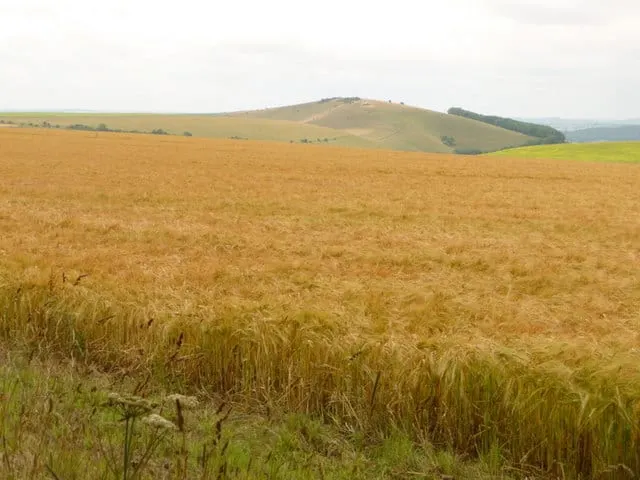 Photo of Melbury and Fontmell, a country estate near Ashmore in Cranborne Chase and West Wiltshire Downs, Dorset, south west England.