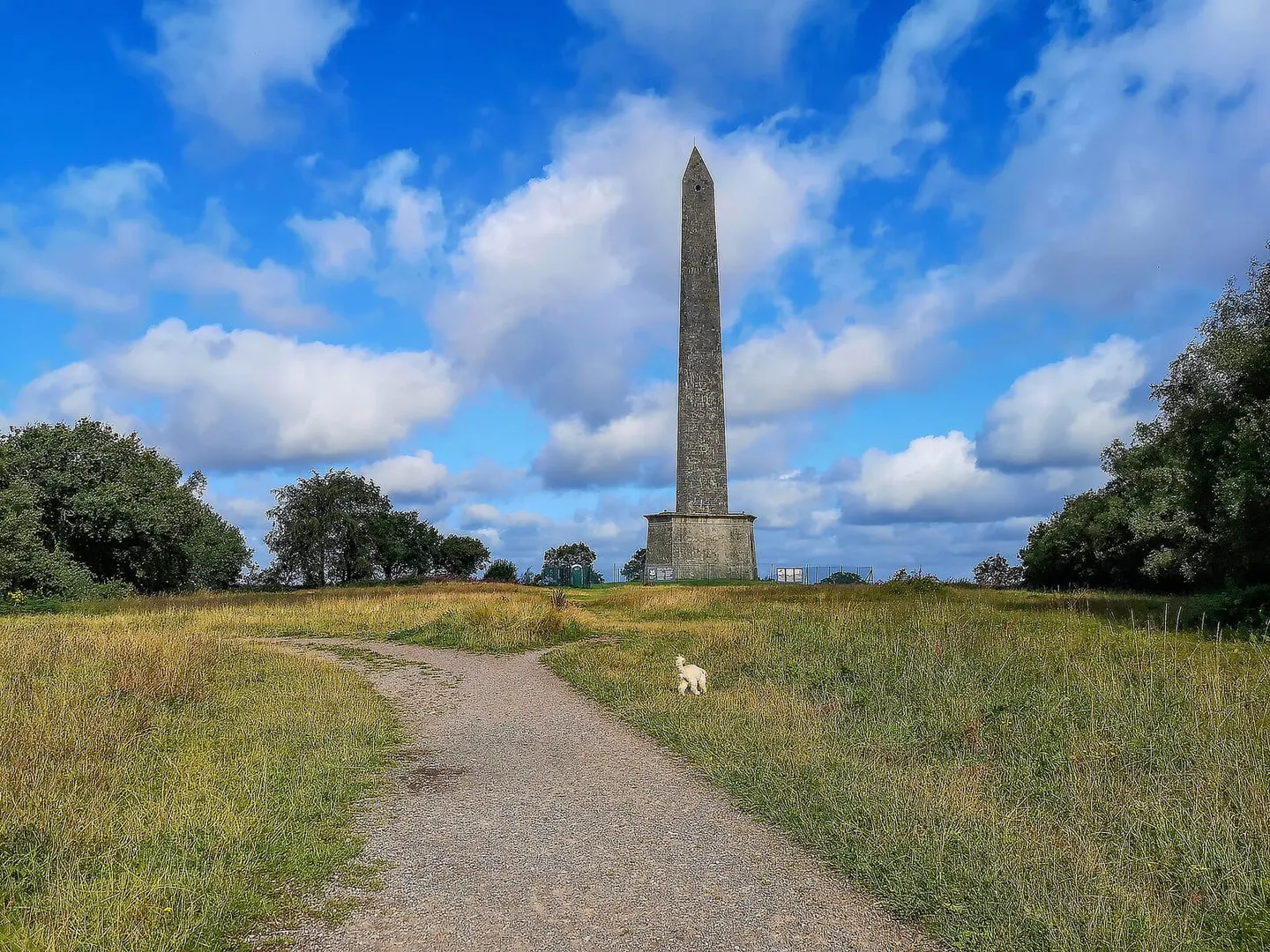 Photo of Wellington Monument, a folly near Tiverton Parkway in the Blackdown Hills, Somerset, south west England.