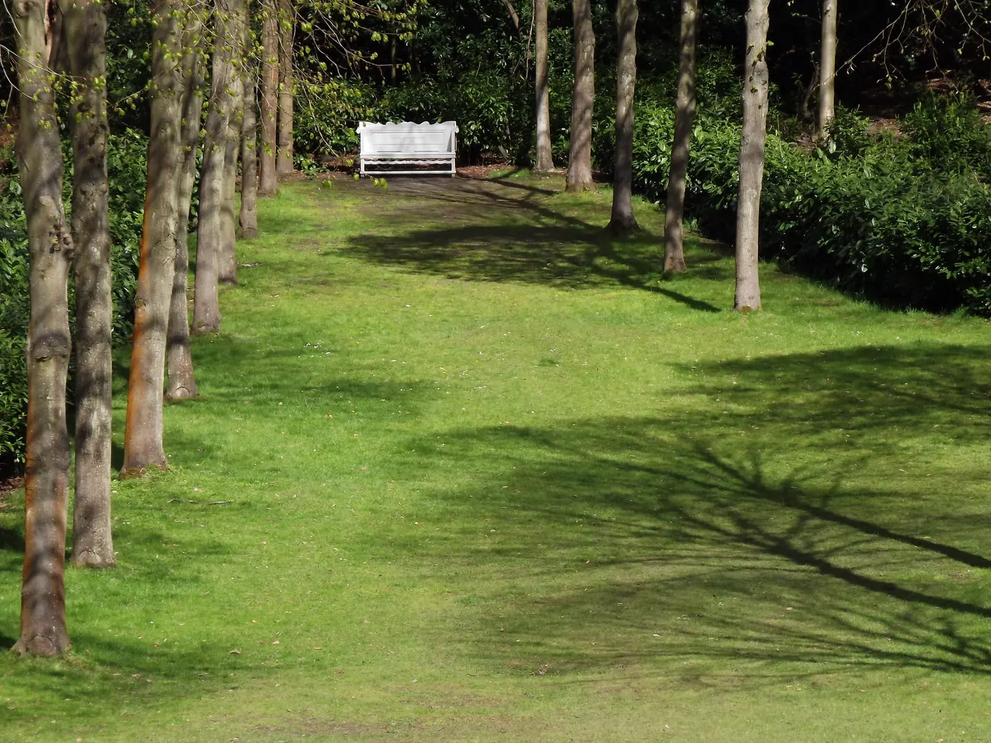 Photo of Claremont Landscape Garden, a garden near Esher, Surrey, south east England.