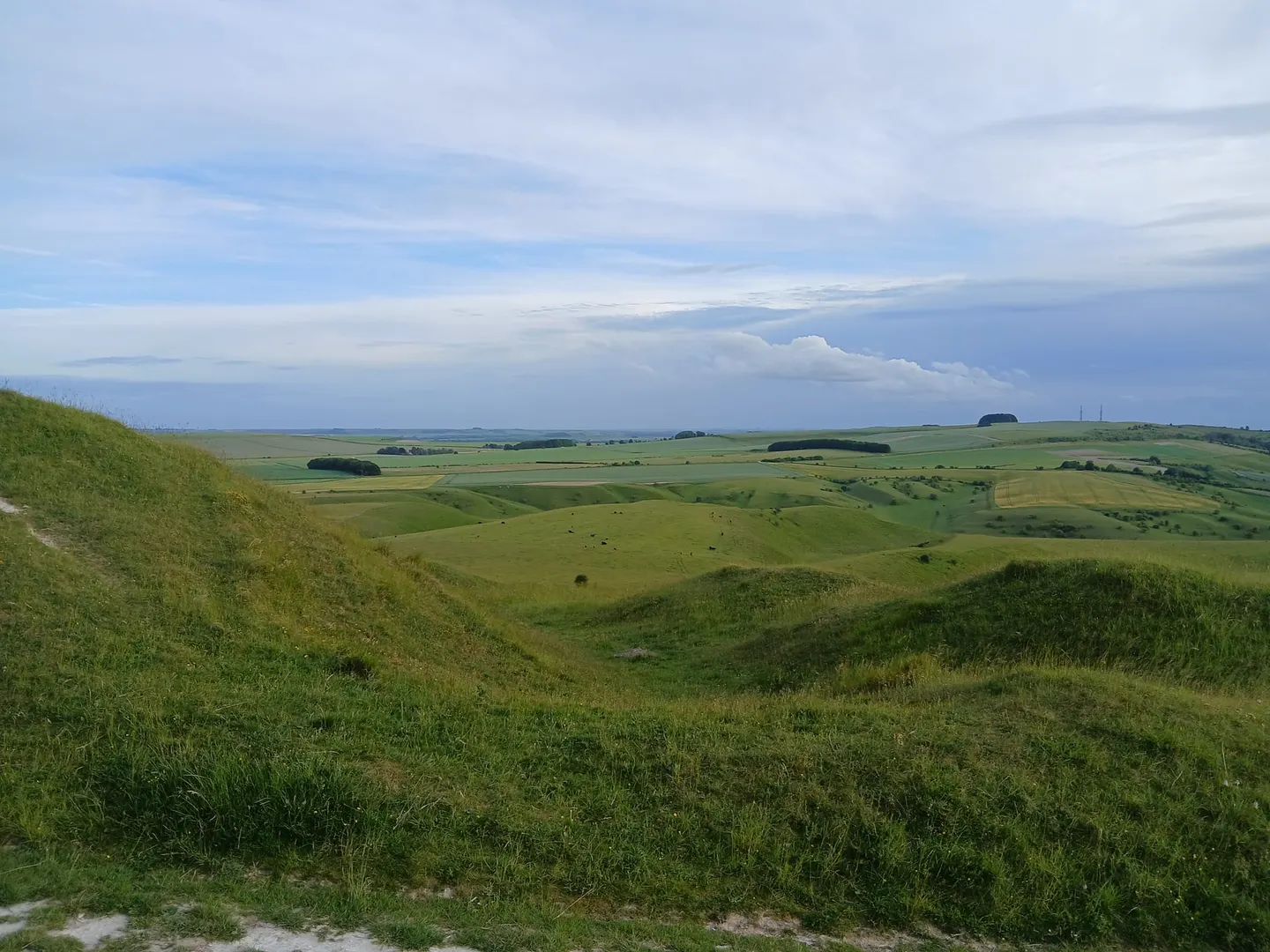 Photo of Calstone and Cherhill Downs, a Site of Special Scientific Interest near Avebury, Wiltshire, south west England.