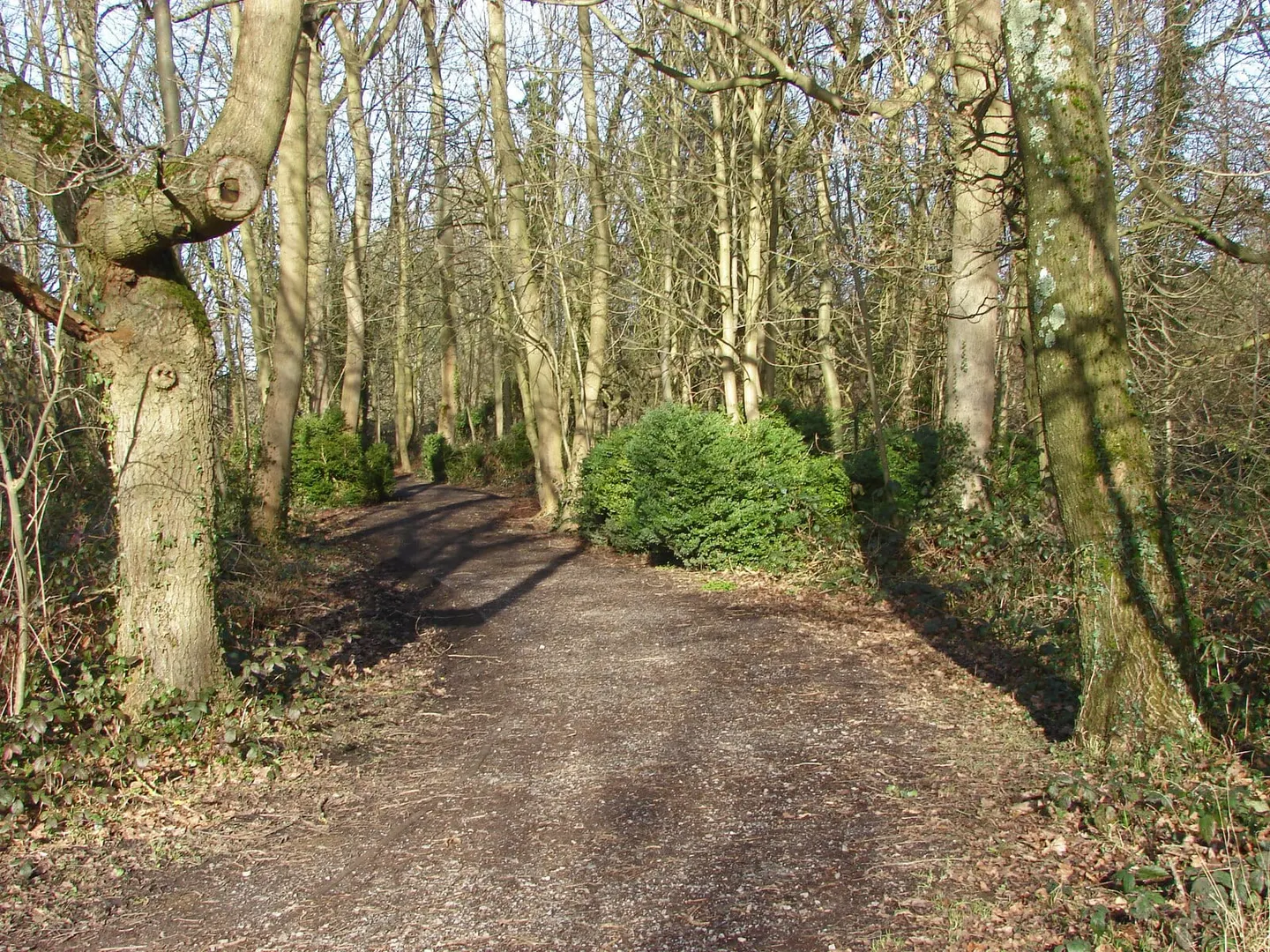 Photo of Denham Country Park, a country park near Chalfont St Giles, Buckinghamshire, England.