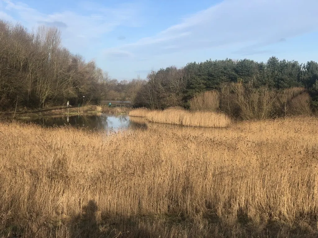 Photo of Hetton Lyons Country Park, a country park near Chester-le-Street, Tyne and Wear, north east England.