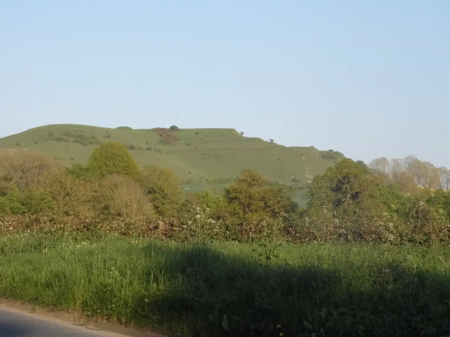 Photo of Cley Hill, a Site of Special Scientific Interest near Frome, Wiltshire, south west England.