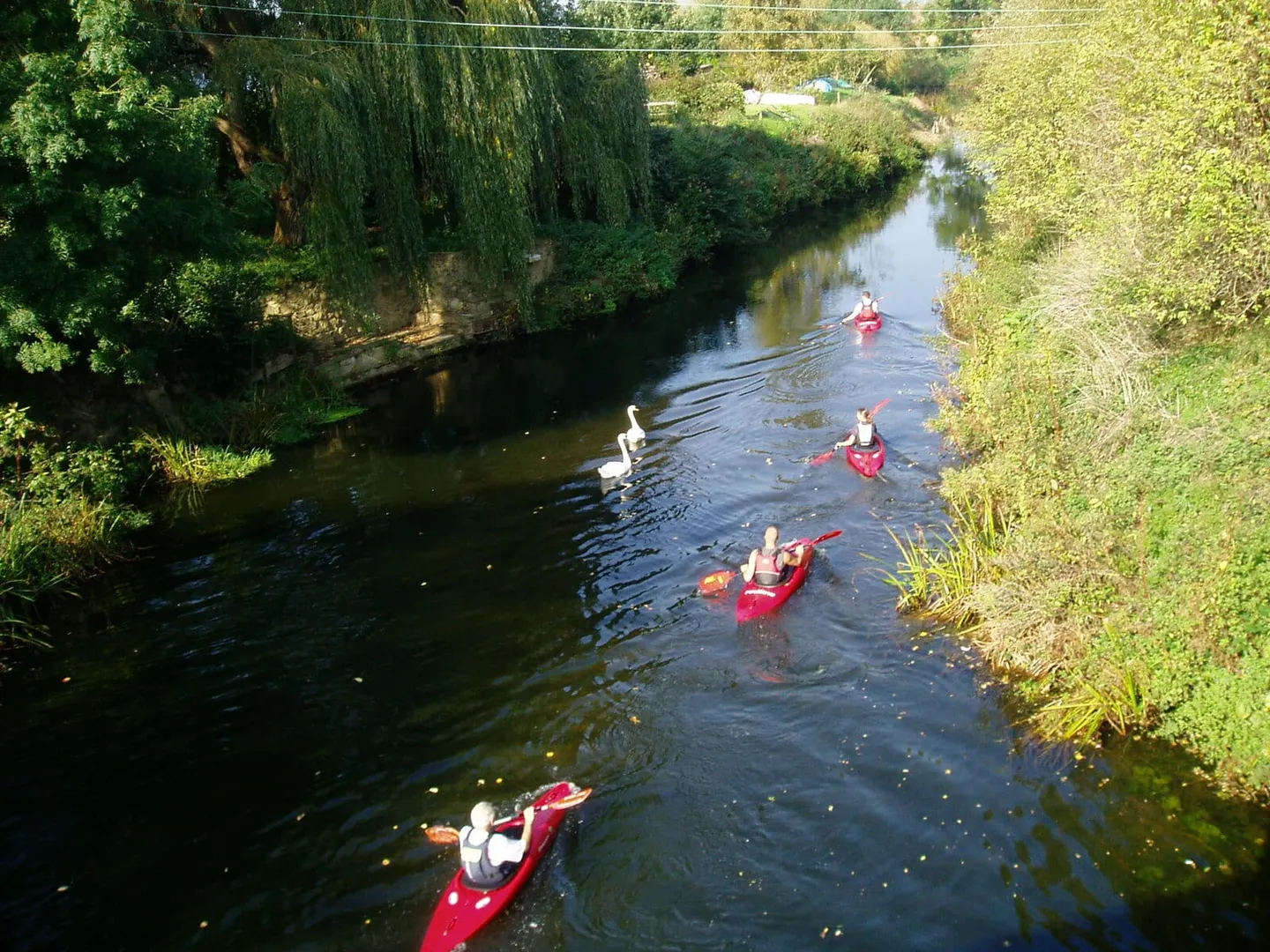 Photo of the River Beult, a 25-mile river running from near Ashford to River Medway at Yalding, south east England.