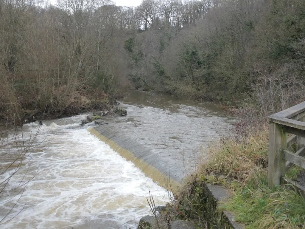 Photo of Derwent Walk Country Park, a country park near Newcastle upon Tyne, Tyne and Wear, north east England.