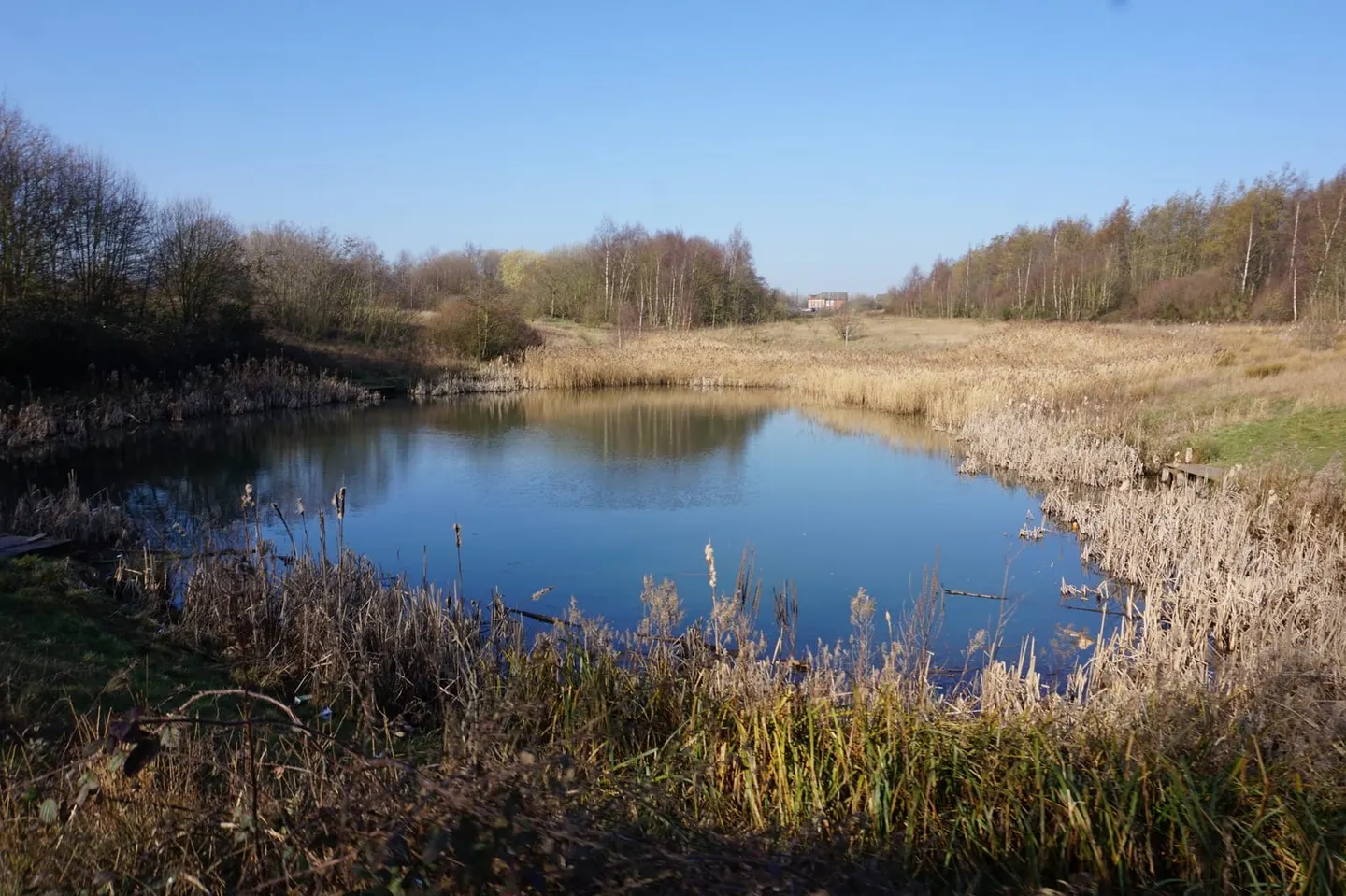 Photo of Fitzwilliam Country Park, a country park near Wakefield, West Yorkshire, northern England.
