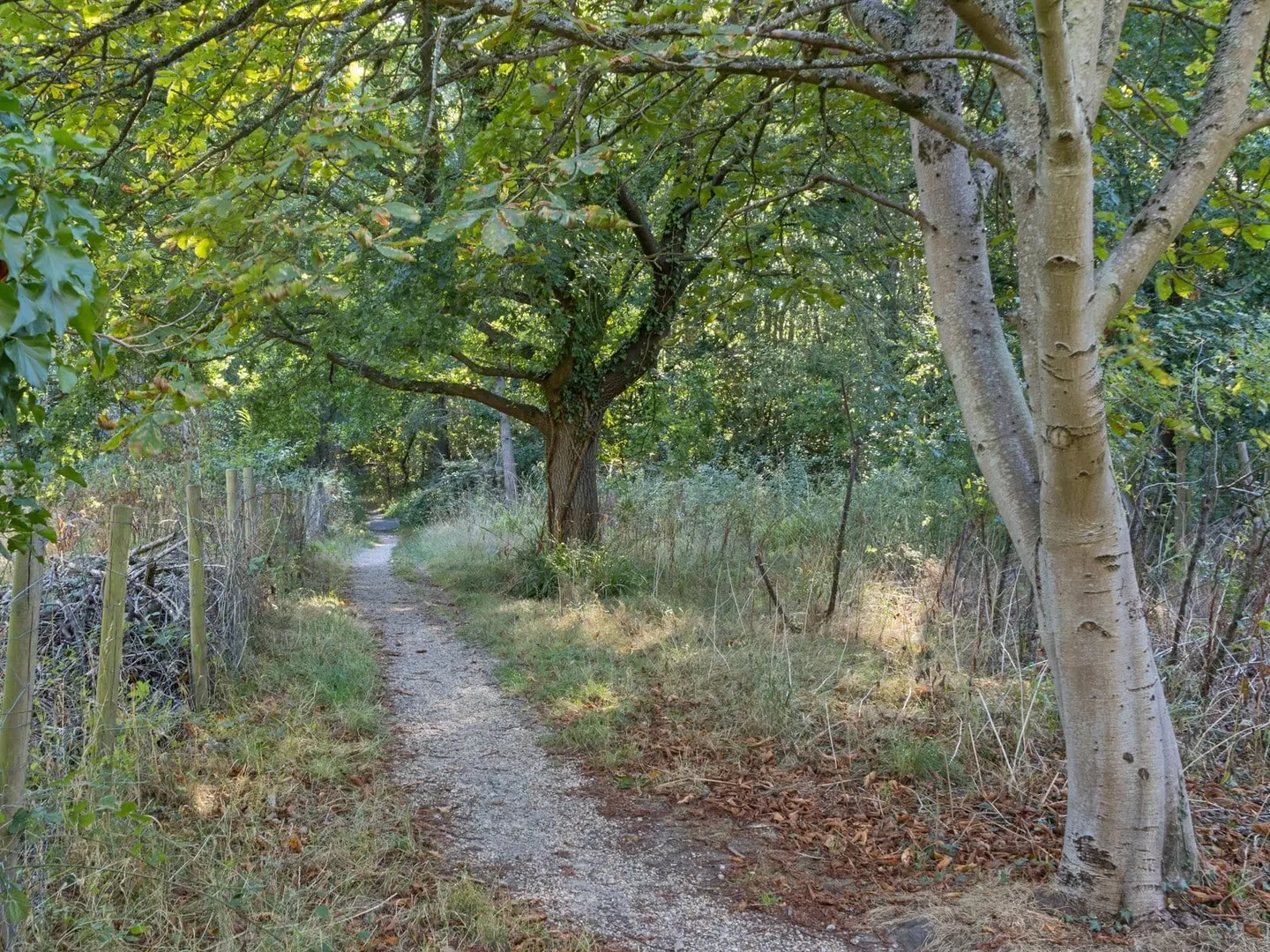 Photo of Norsey Wood Country Park, a country park near Chelmsford, Essex, eastern England.