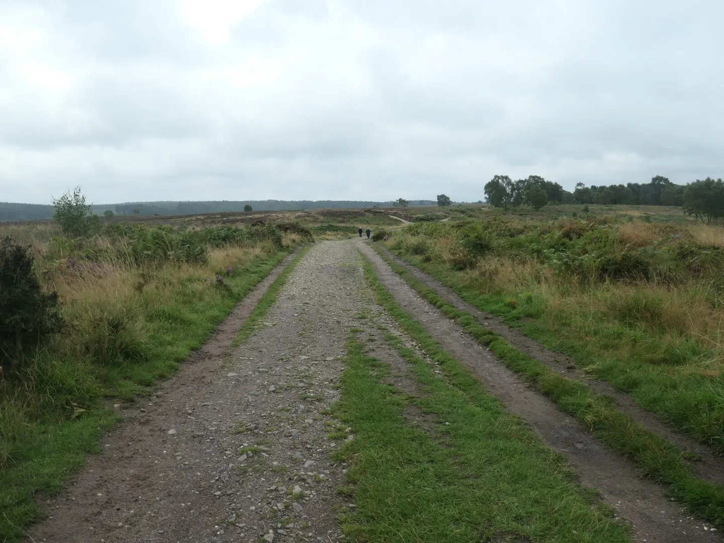 Photo along the Heart of England Way, a 104-mile long-distance path running from Cannock Chase to Bourton-on-the-Water, England.