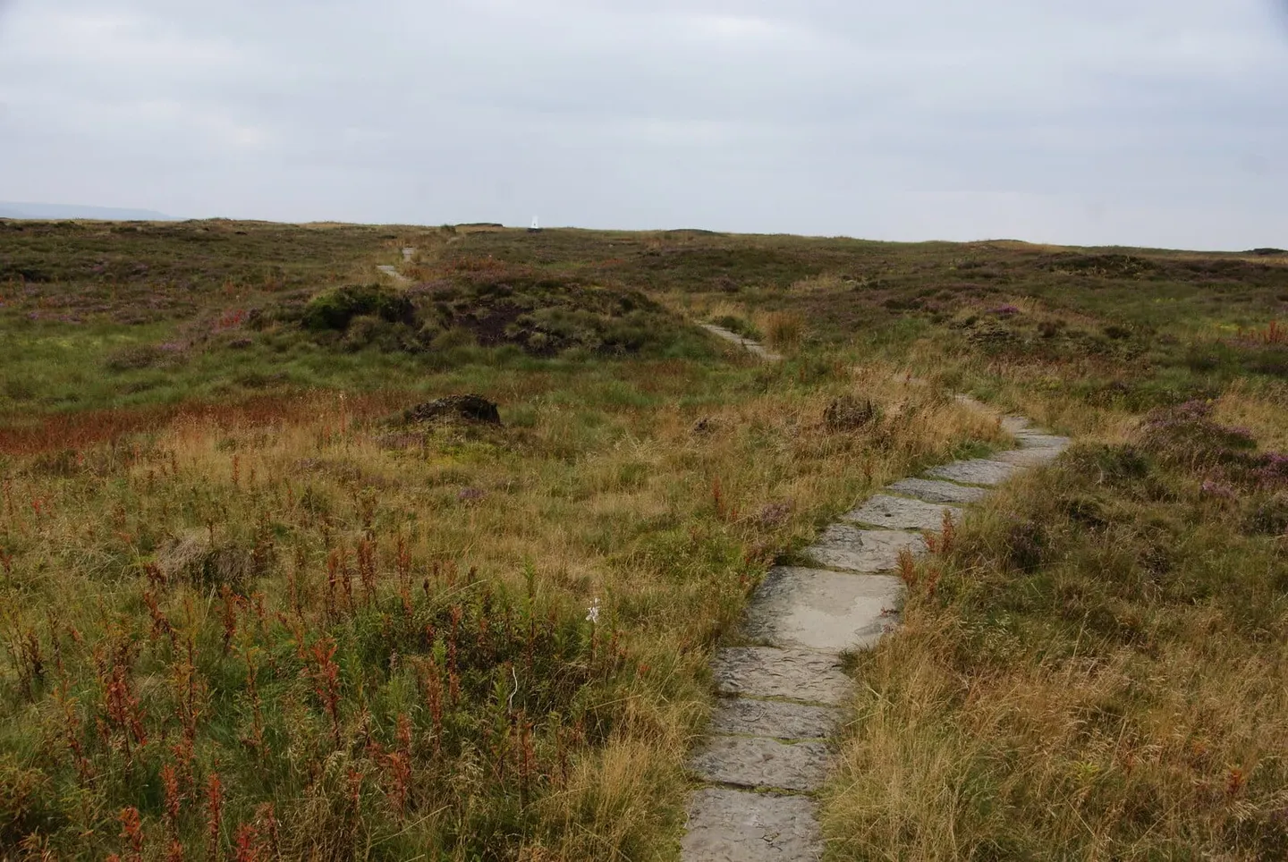 Photo: Black Hill (West Yorkshire), a 581m hill near Holmfirth in the Peak District, West Yorkshire, northern England.
