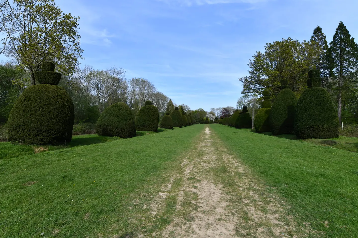 Photo of Clipsham Yew Tree Avenue, a garden in Rutland, central England.