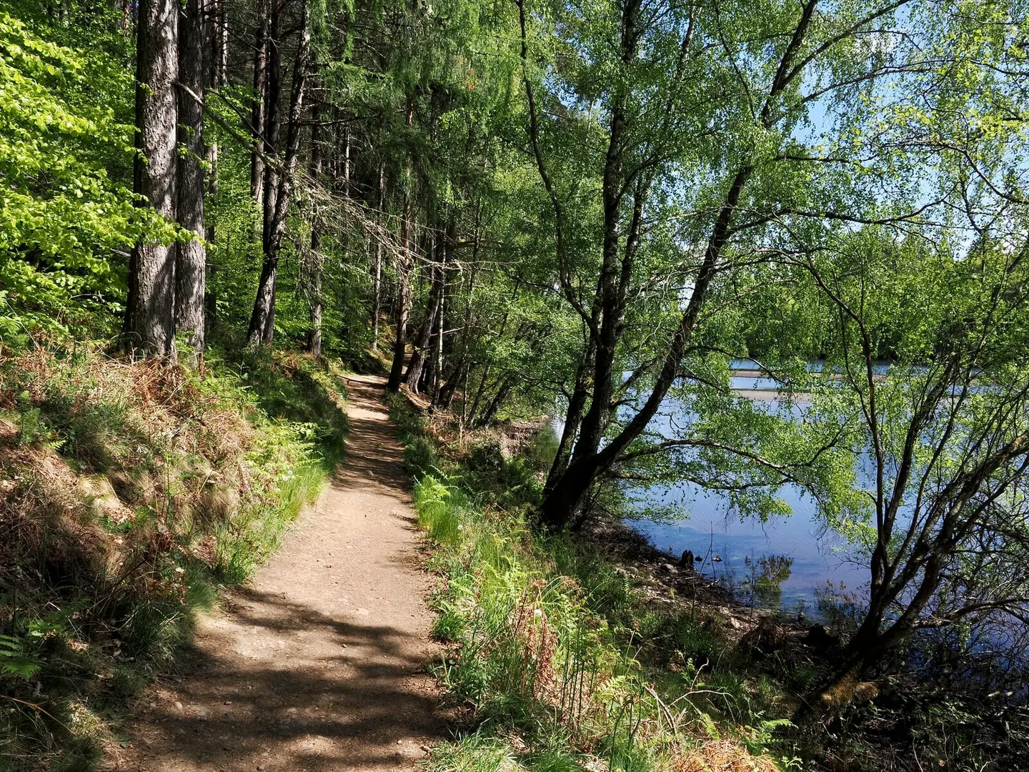Photo of Loch Faskally, a reservoir near Pitlochry, Perth and Kinross, central Scotland.