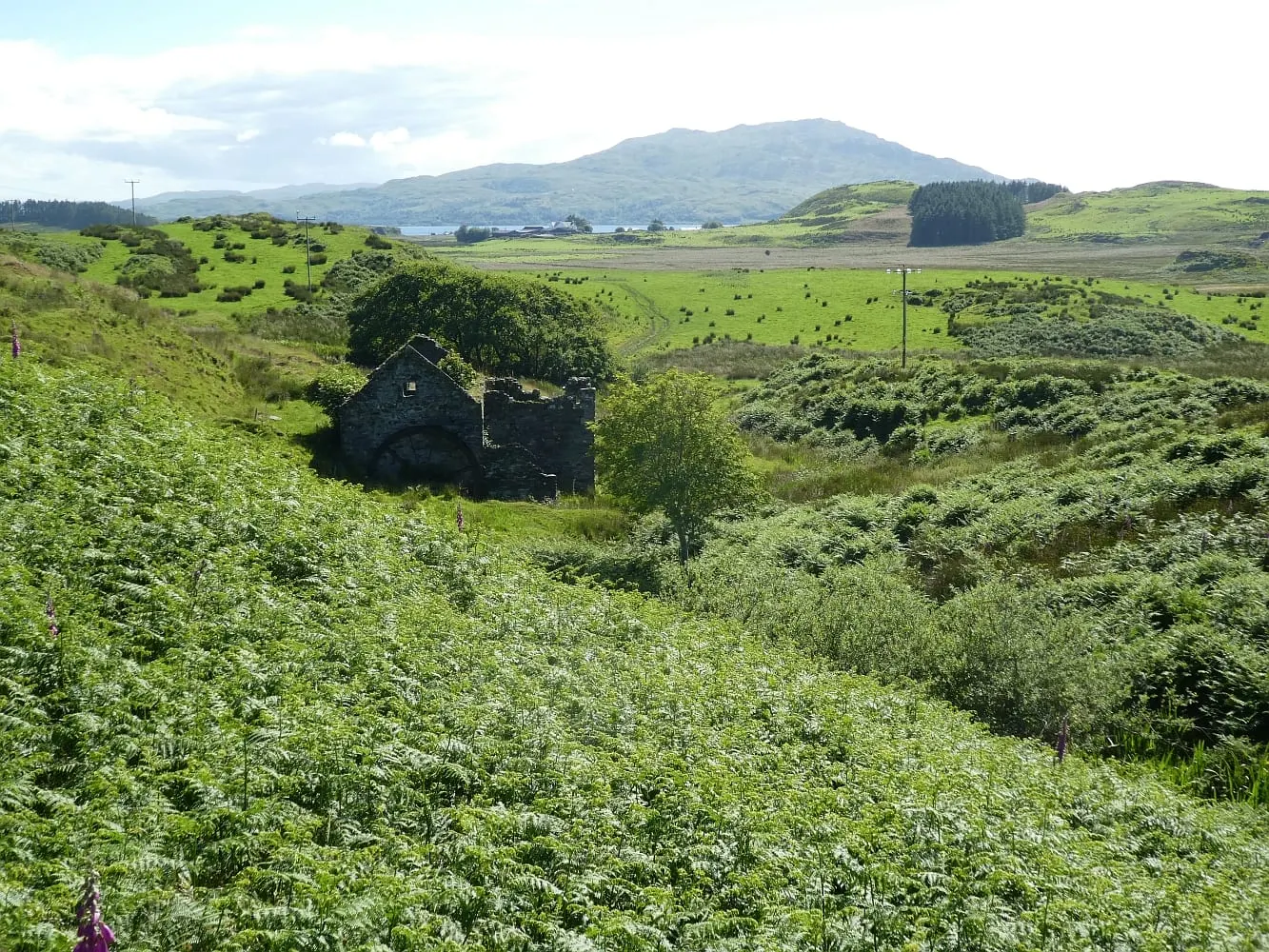 Photo of the Isle of Luing, an island in Argyll and Bute, the Scottish Highlands and Islands.