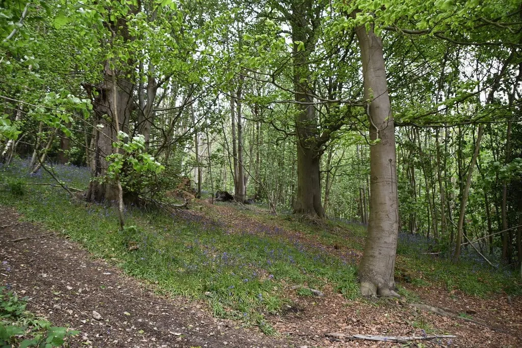 Photo of Gover Hill, a country estate near Ightham, Kent, south east England.