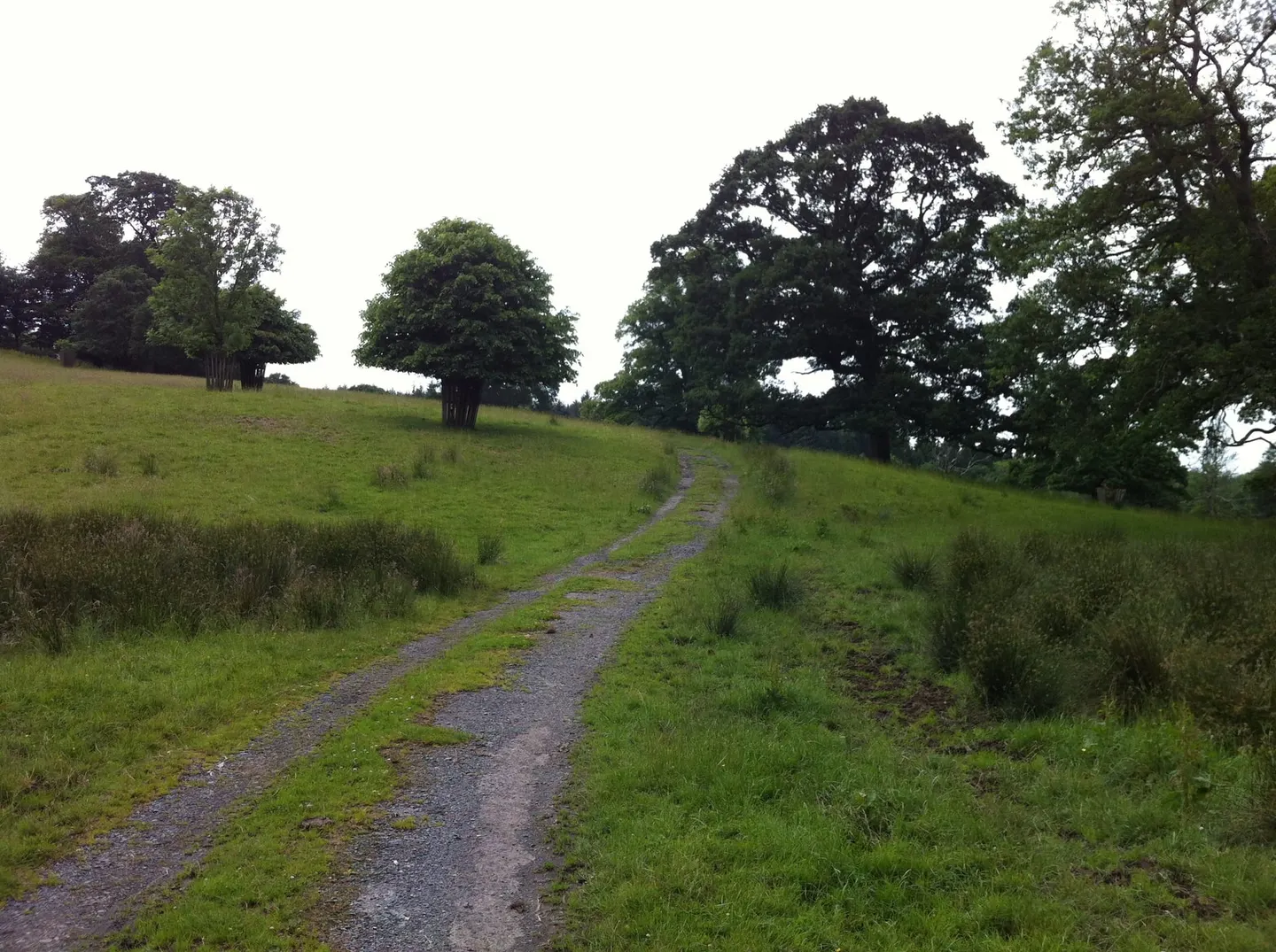 Photo of Dunsland Park, a Site of Special Scientific Interest in Devon, south west England.