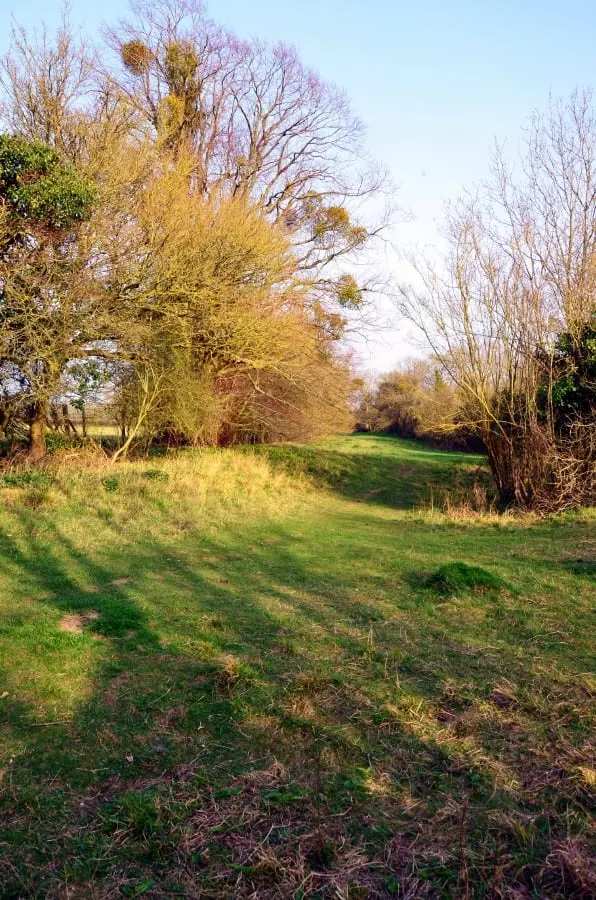 Photo of Turn Hill, a country estate near Somerton, Somerset, south west England.