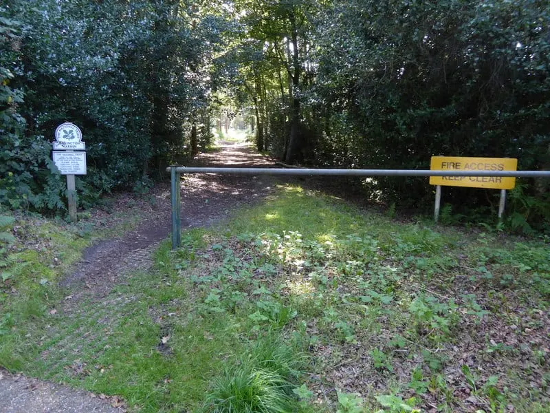Photo of Sullington Warren, a Site of Special Scientific Interest near Storrington, West Sussex, south east England.