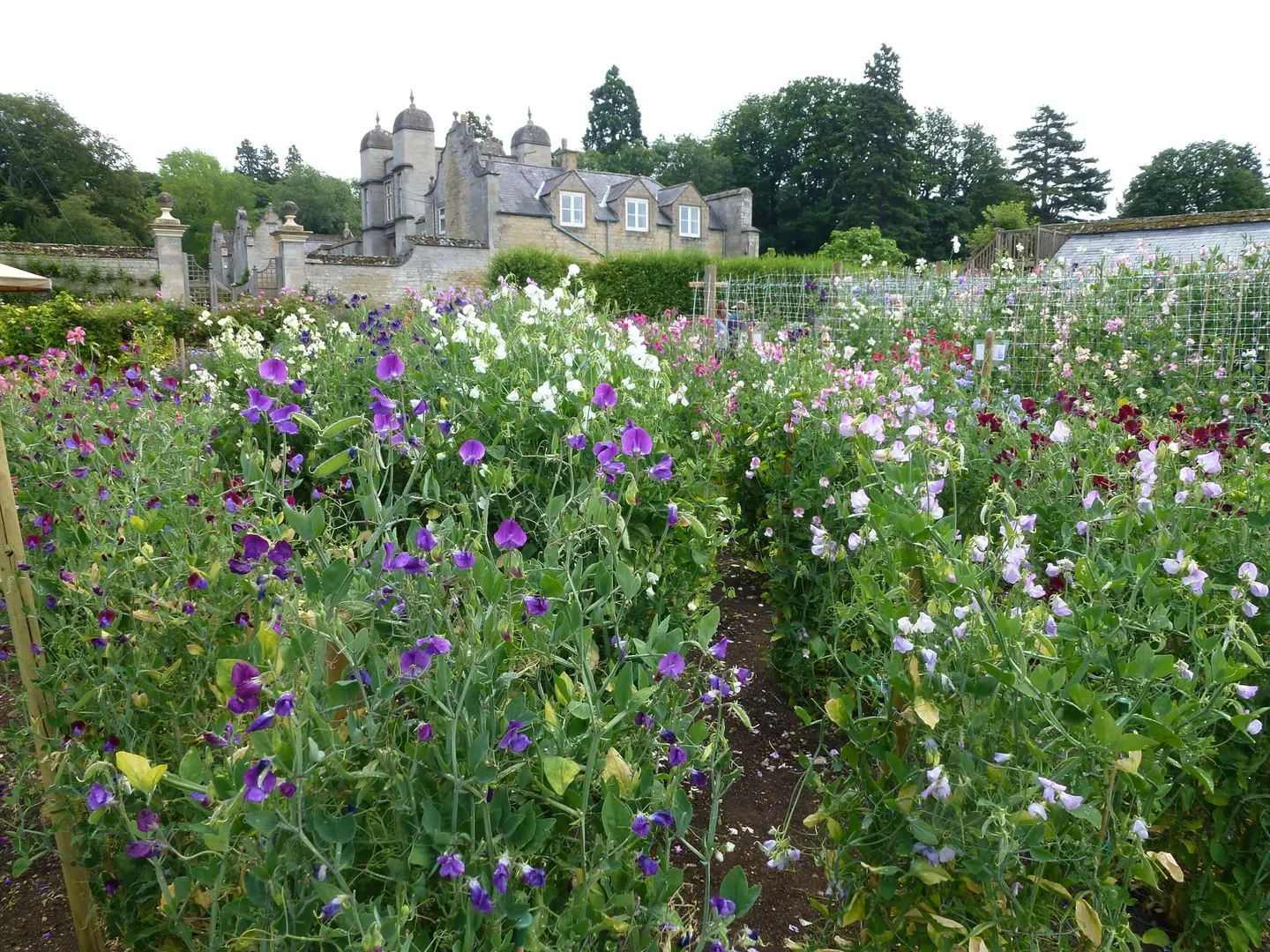 Photo of Easton Walled Gardens, a garden in Lincolnshire, central England.