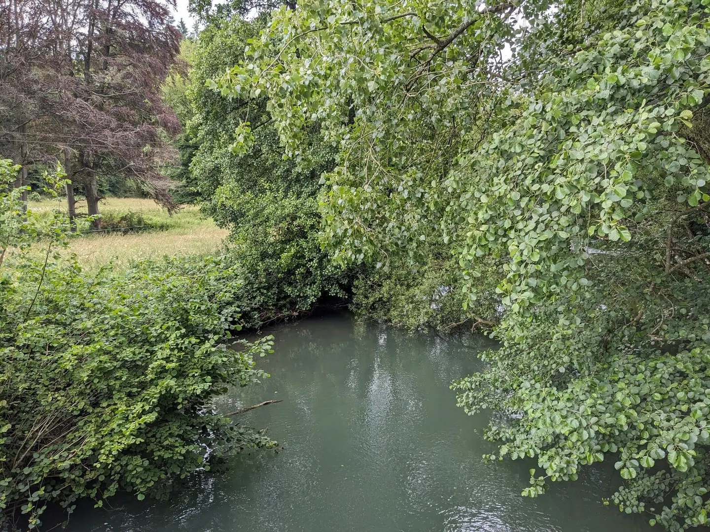 Photo of the River Lugg, a 45-mile river running from Radnorshire to River Wye at Mordiford, England and Wales.