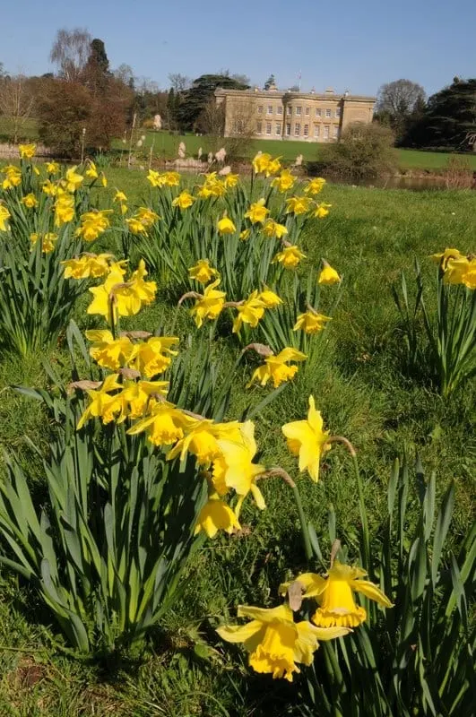 Photo of Spetchley Park, a Grade II* registered house & garden in Worcestershire, central England.