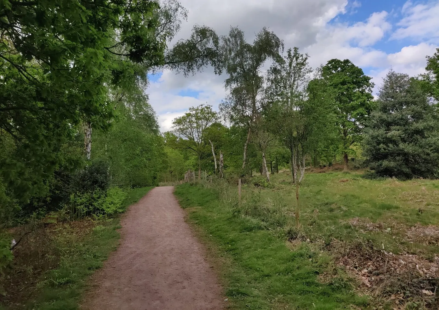 Photo of Kingsford Country Park, a country park near Kinver, Worcestershire, central England.
