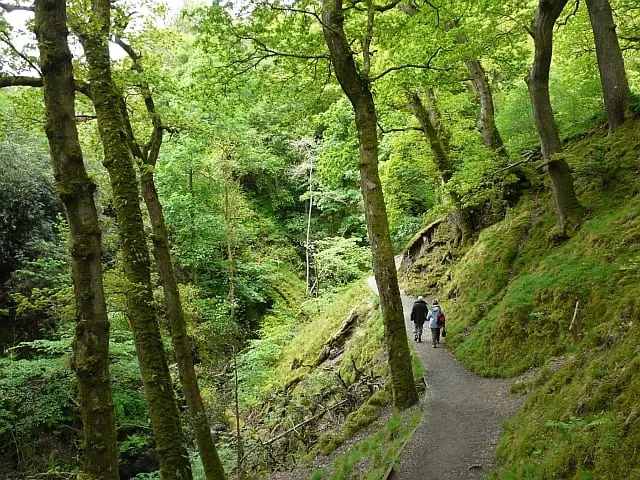 Photo of Aira Force, Cumbria — the path up through the woods.