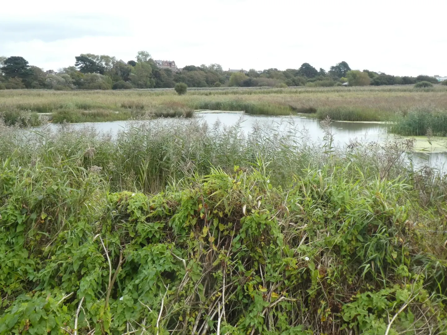 Photo of Radipole Lake, a Lake near Upwey, Dorset, south west England.