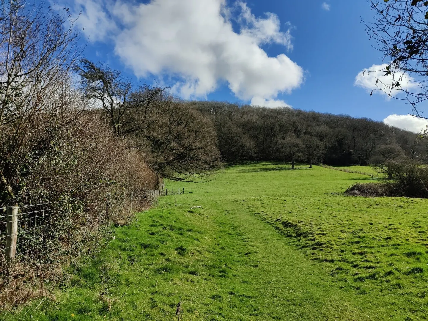 Photo: Wenlock Edge, a viewpoint near Cardington, Shropshire, central England.