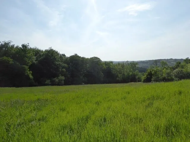Photo of Willingford Meadows, a Site of Special Scientific Interest near Burwash in the High Weald, East Sussex, south east England.