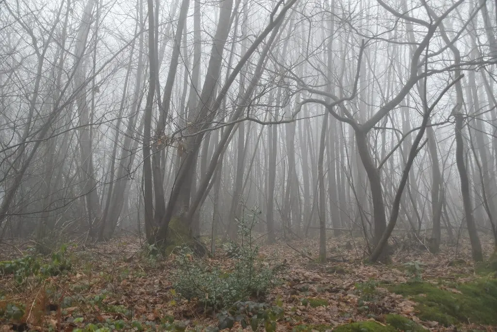 Photo: Toys Hill, a viewpoint near Chiddingstone, Kent, south east England.