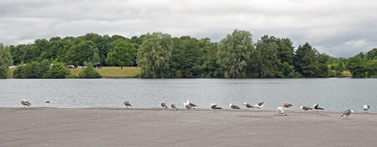 Photo of Cosmeston Lakes Country Park, a country park near Penarth, the Vale of Glamorgan, south east Wales.
