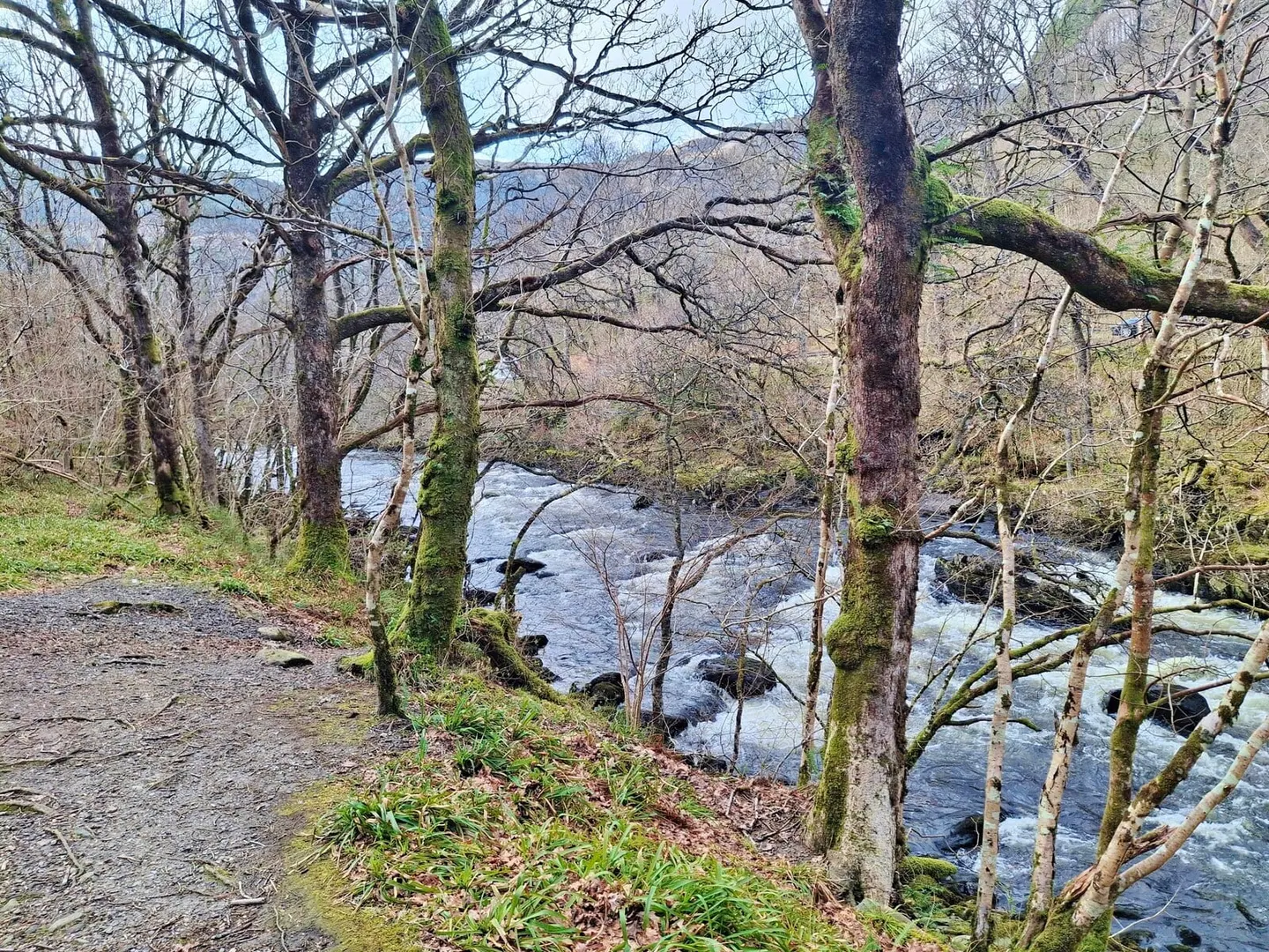 Photo along the Rob Roy Way, a long-distance trail running from Drymen to Pitlochry, central Scotland.