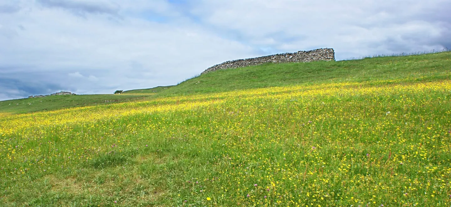 Photo of Upper Wharfedale, a Site of Special Scientific Interest near Starbotton in the Yorkshire Dales, North Yorkshire, northern England.