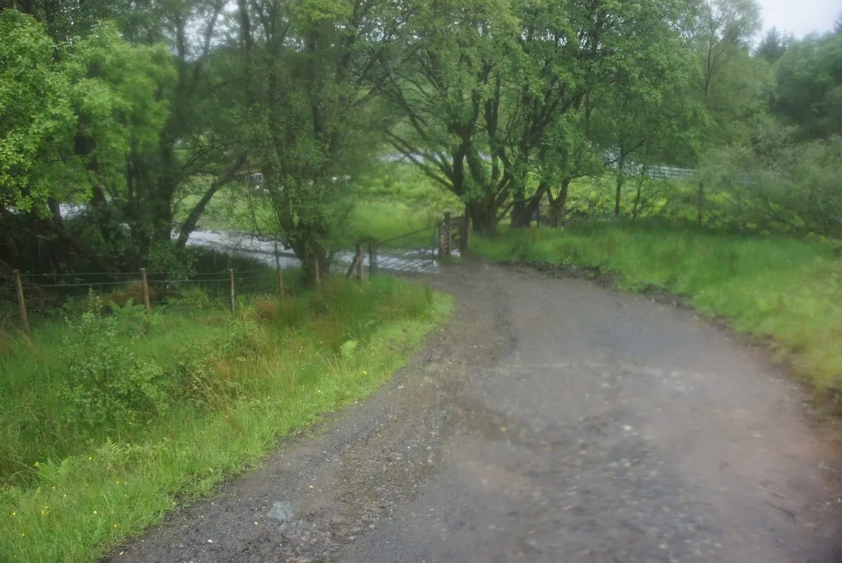 Photo along the Three Lochs Way, a long-distance trail running from Balloch to Inveruglas, Scotland.