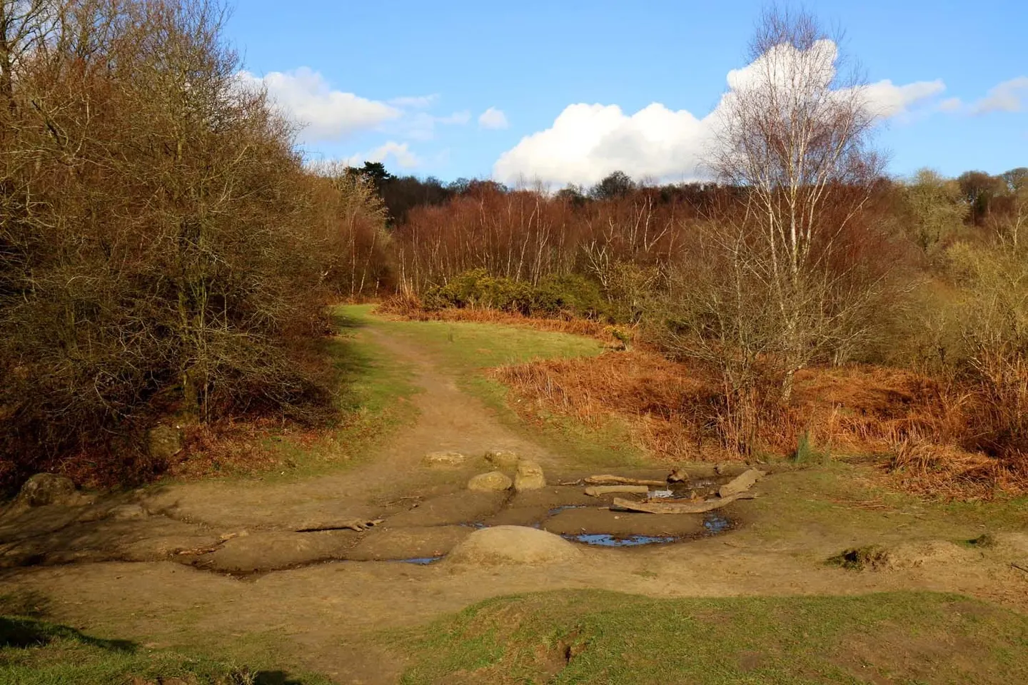 Photo of Shotover Country Park, a country park near Wheatley, Oxfordshire, south east England.