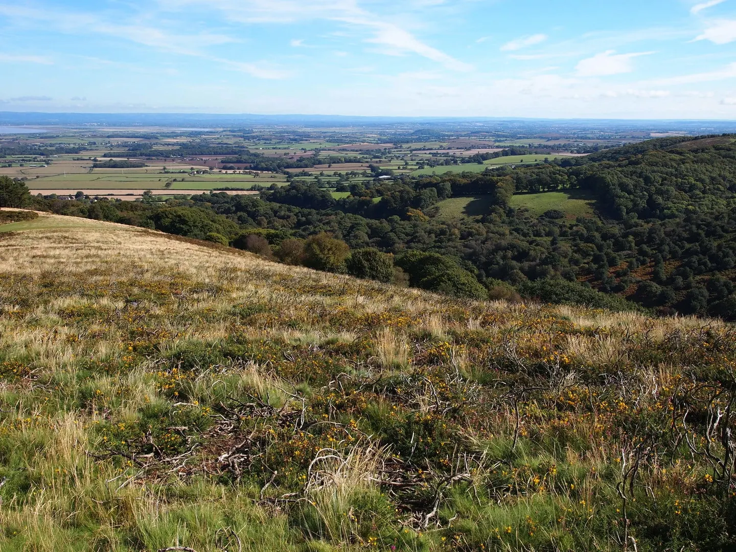 Photo of Holford, a country estate near Bicknoller in the Quantock Hills, Somerset, south west England.
