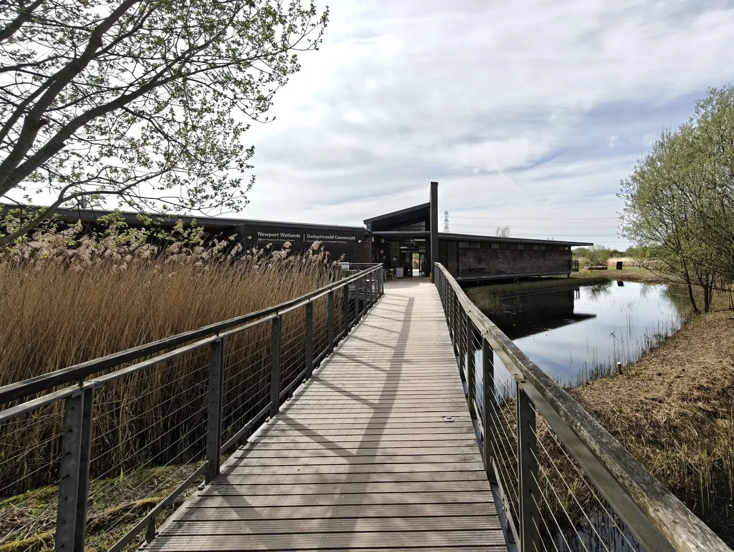Photo of Newport Wetlands, a nature reserve in Newport, south east Wales.