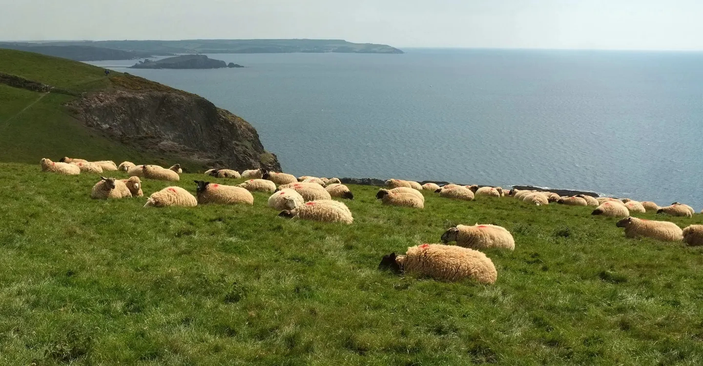 Photo of the coast at Ringmore, Devon, south west England.