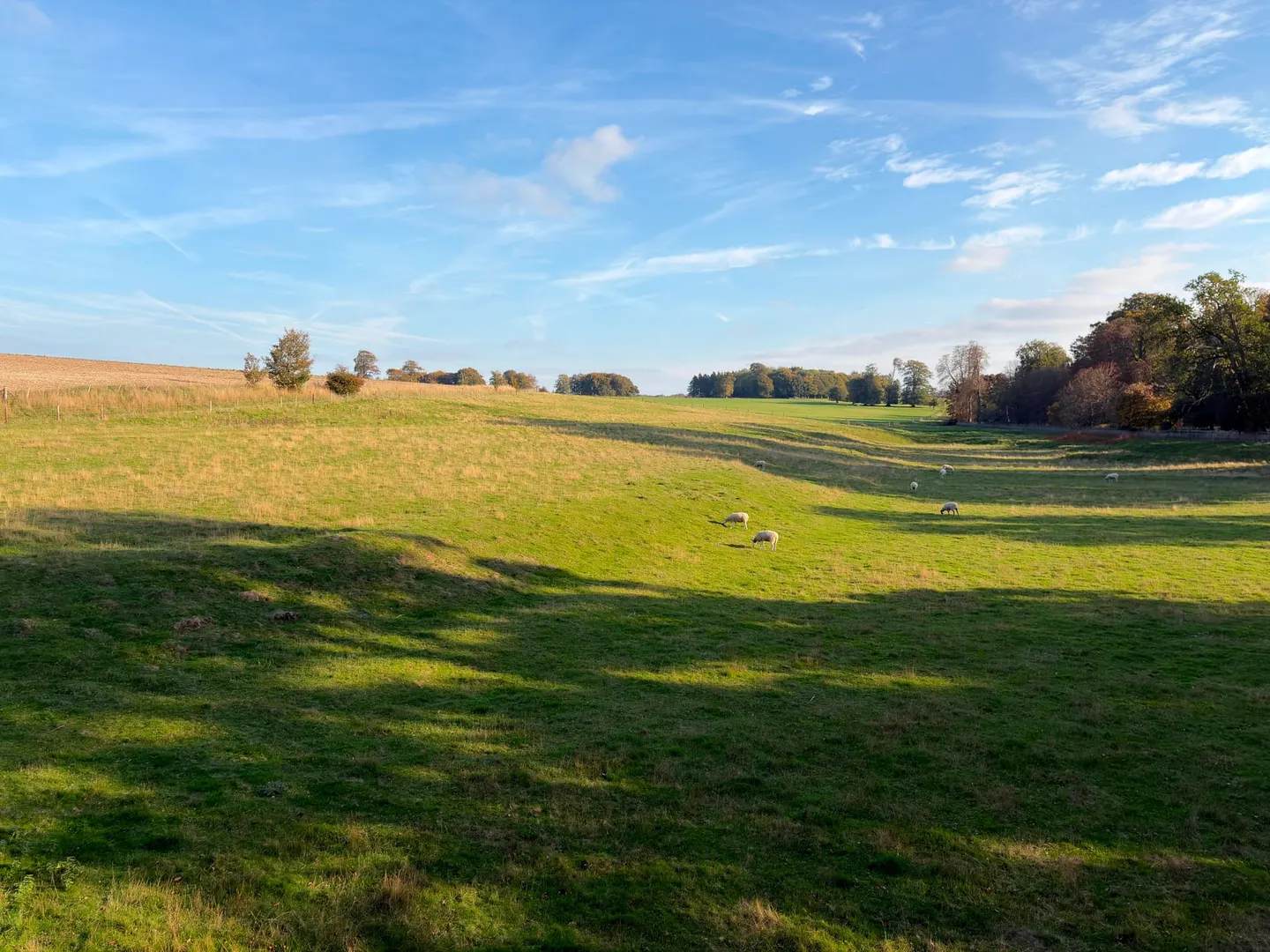 Photo of Hackwood Park, a Grade I registered house & garden near Basingstoke, Hampshire, south east England.