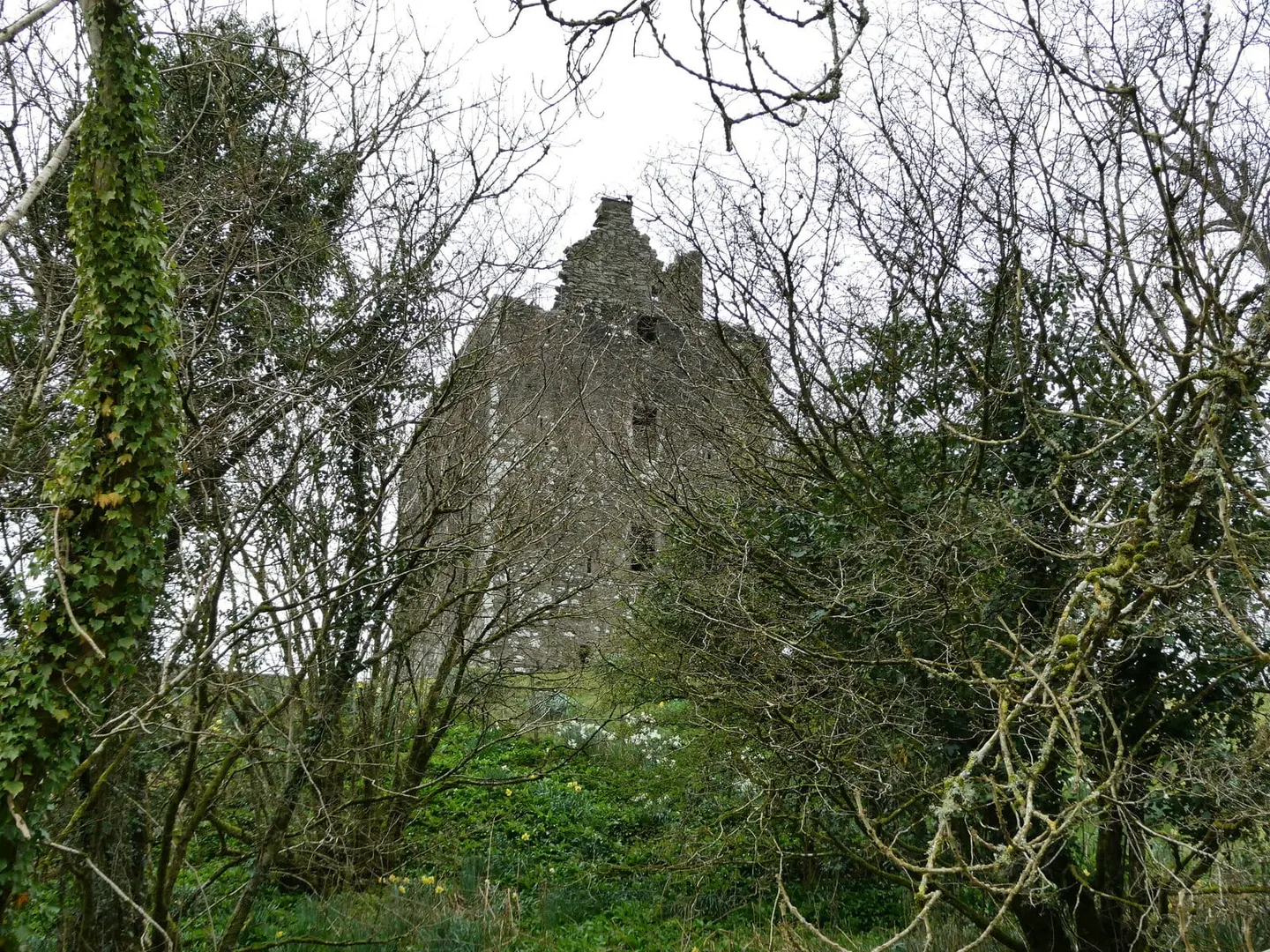Photo of Cardoness Castle, a ruined castle near Gatehouse of Fleet in the Fleet Valley, Dumfries and Galloway, southern Scotland.