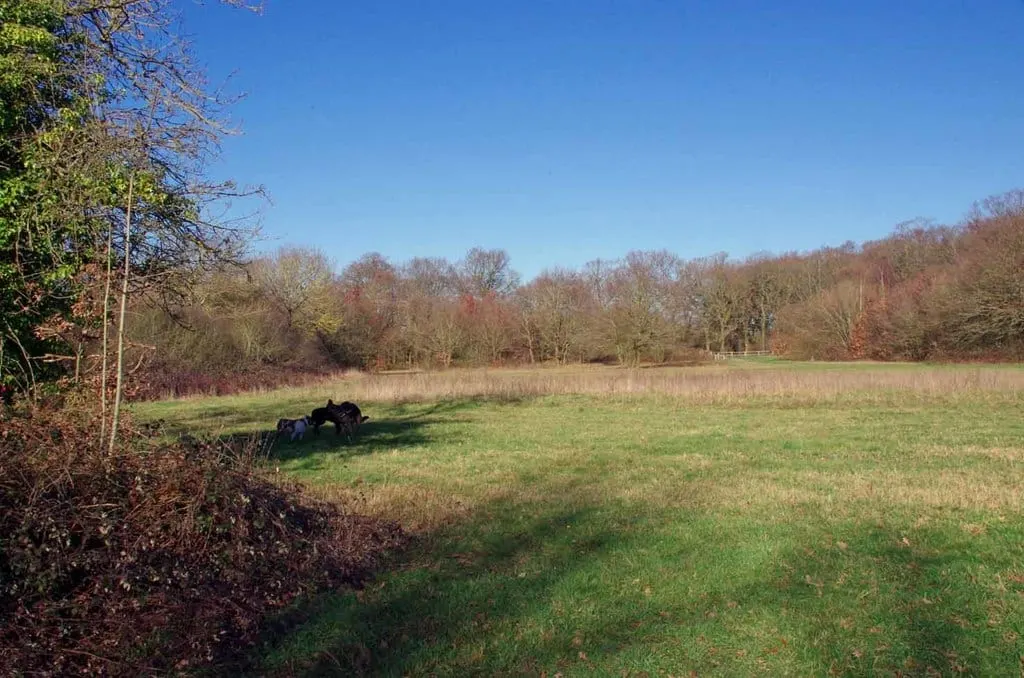 Photo of Jubilee Country Park, a country park near Shoreham, London, England.